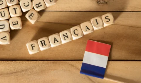 study Mba In France