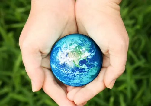 The Importance of Sustainable MBA Programs