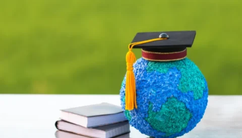 study abroad consultants